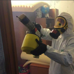 Уничтожение клопов в квартире. Политехническая